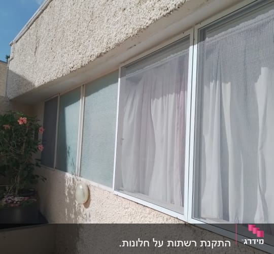 חלונות עם וילונות וצמחייה בחוץ